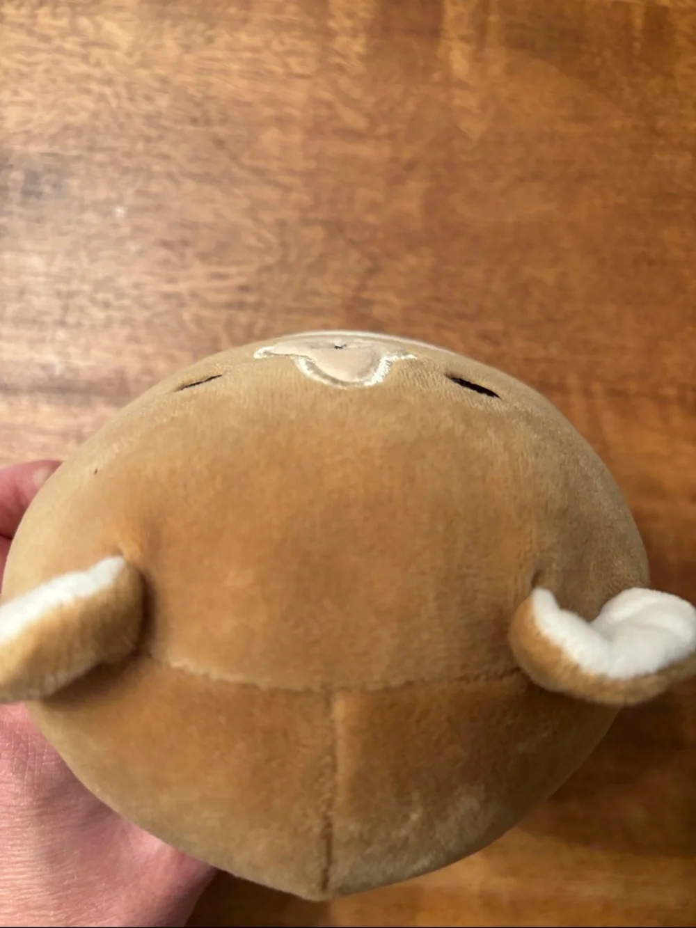 Squishmallows Brown and White Bear Plush